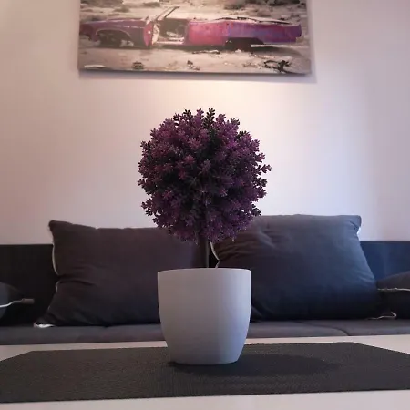 Appartamento Stinjan: Modern Relaxing Pola